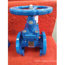 GB cast iron gate valve with rising stem Z41T/W-10/16P